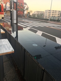 B3B5116E-C73F-4FFB-AF32-257AE608750C.jpeg